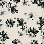 黑白花卉图案纹理背景