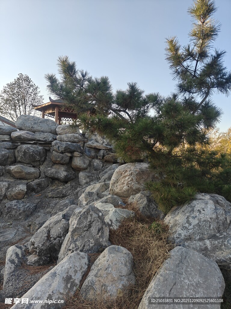 石间孤松与远处亭景