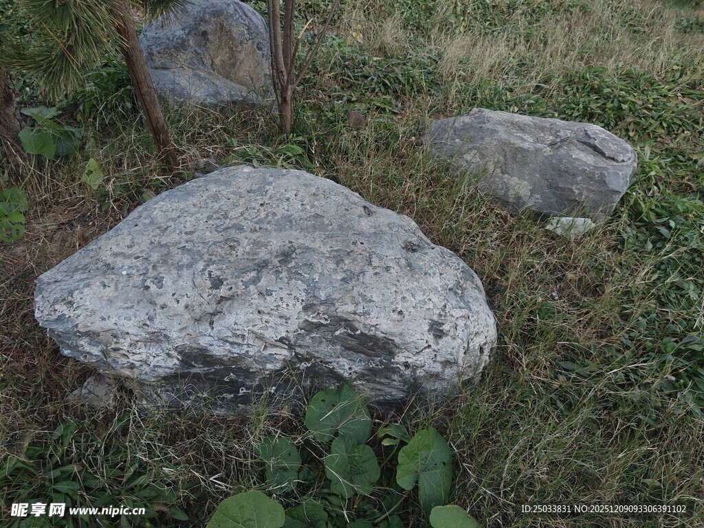 野外草地上的灰色石头
