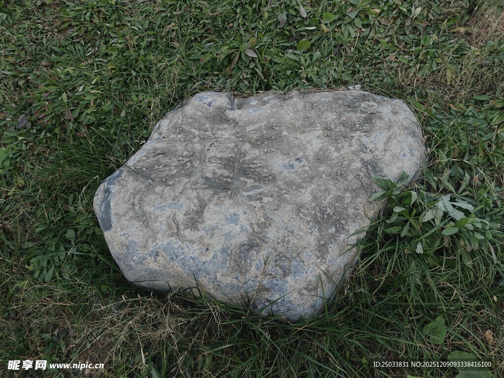 草地上的灰色大石头
