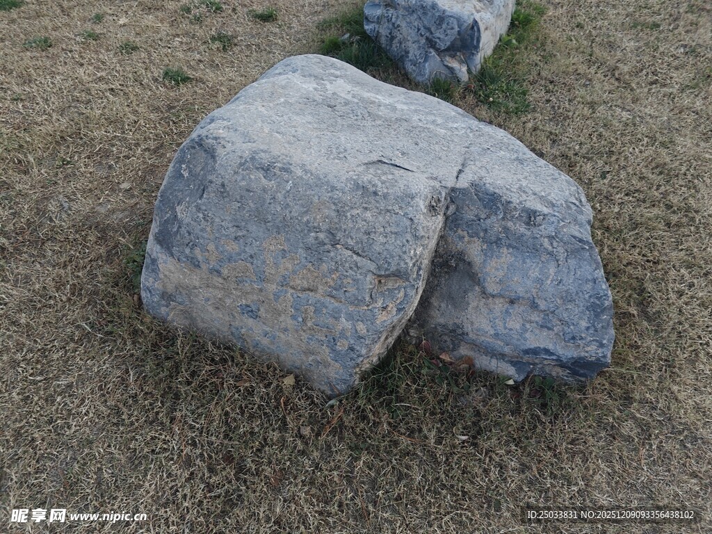 户外草地中的灰色石块