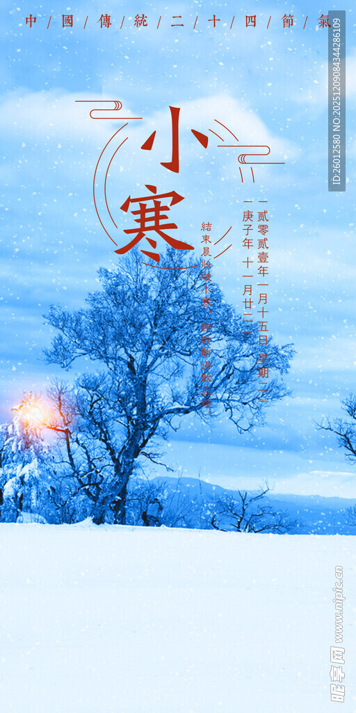 冬日小寒雪景孤树画面