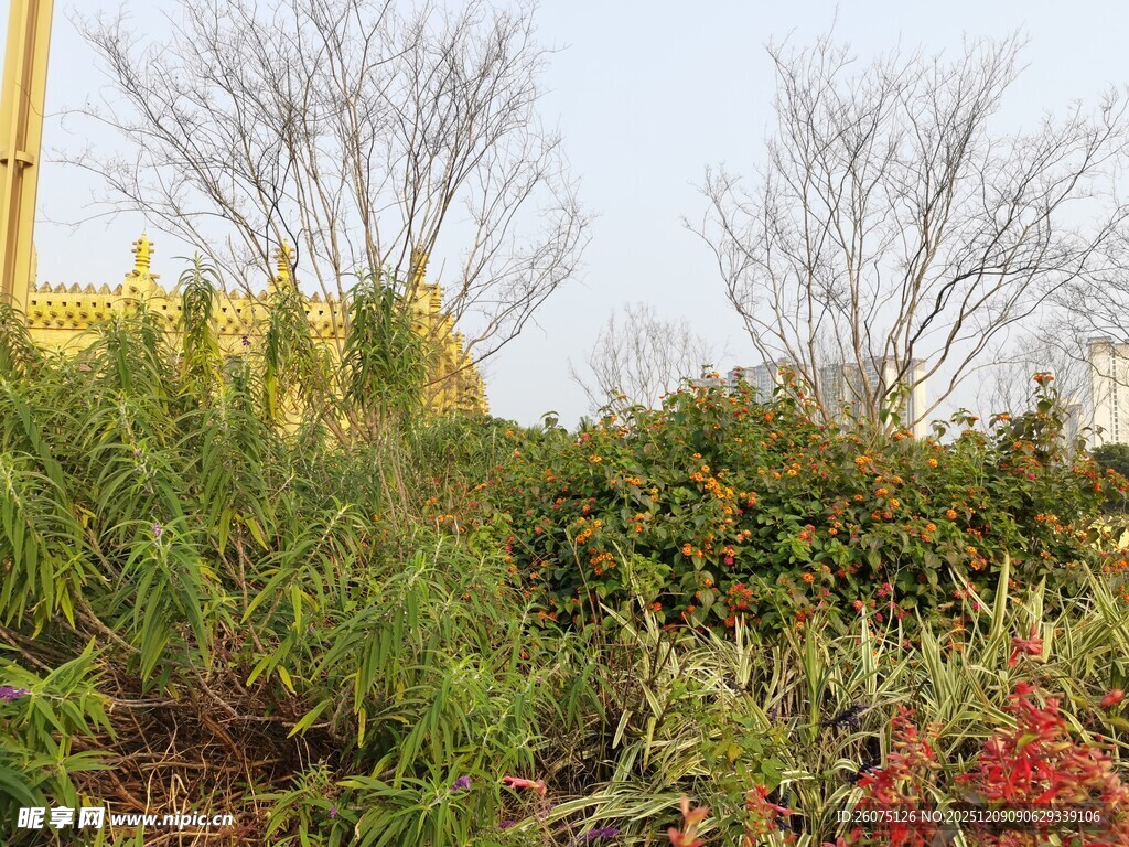 户外绿植花卉景观