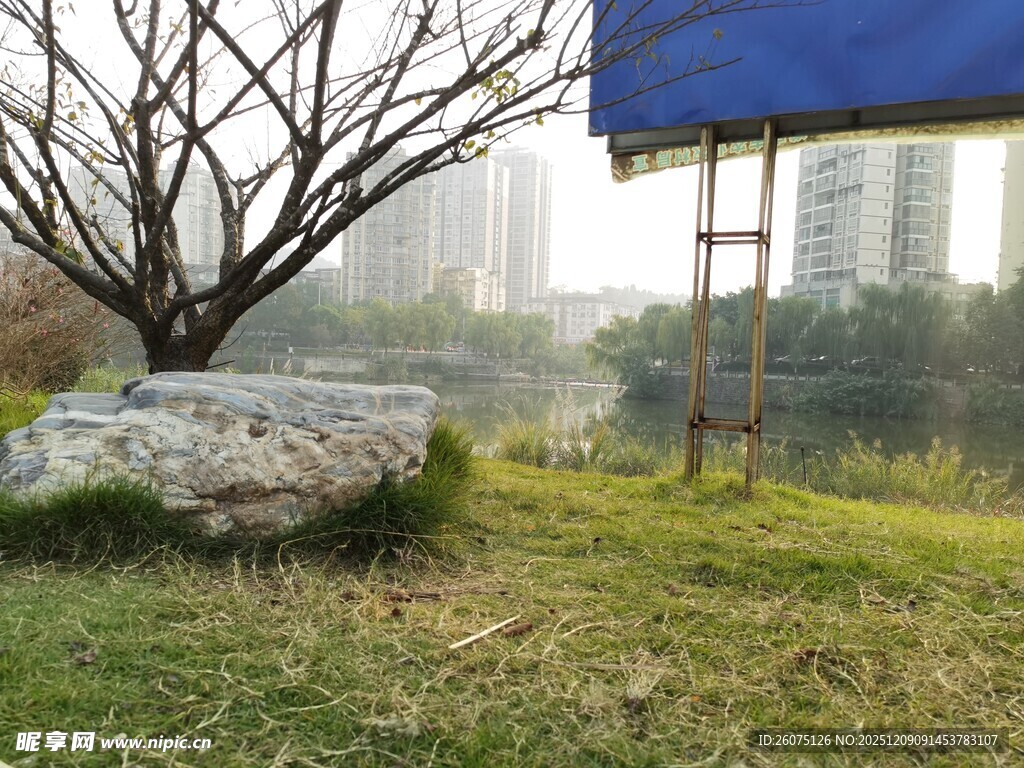 户外草地旁的树木与蓝棚