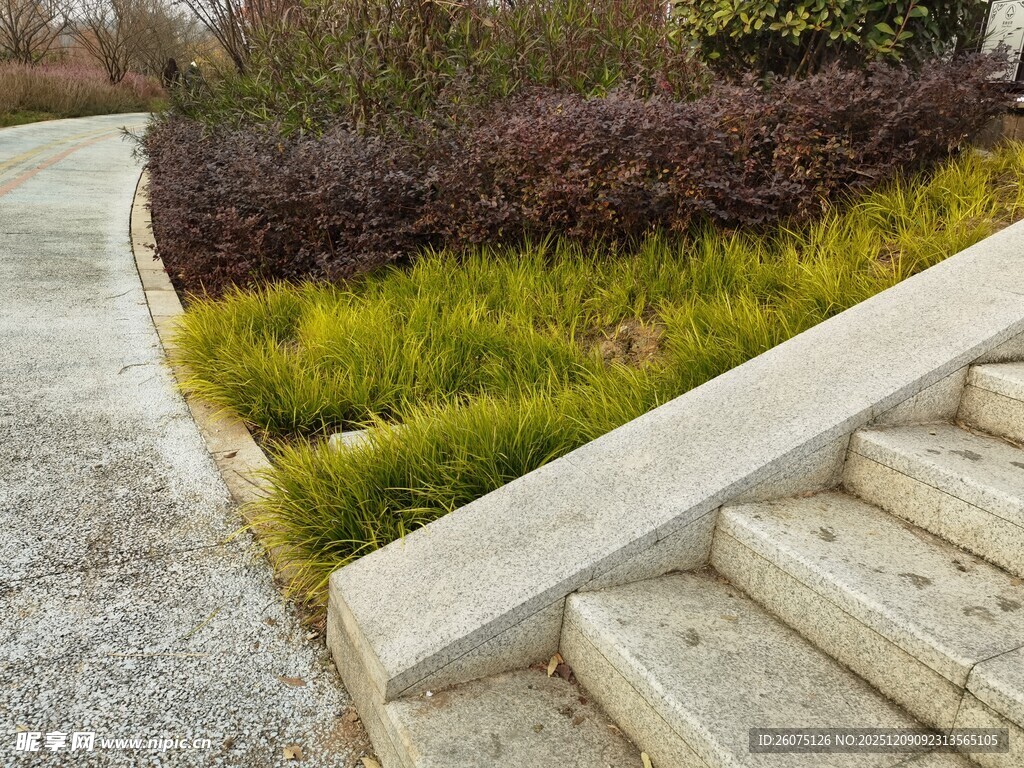 户外石阶旁的绿植景观