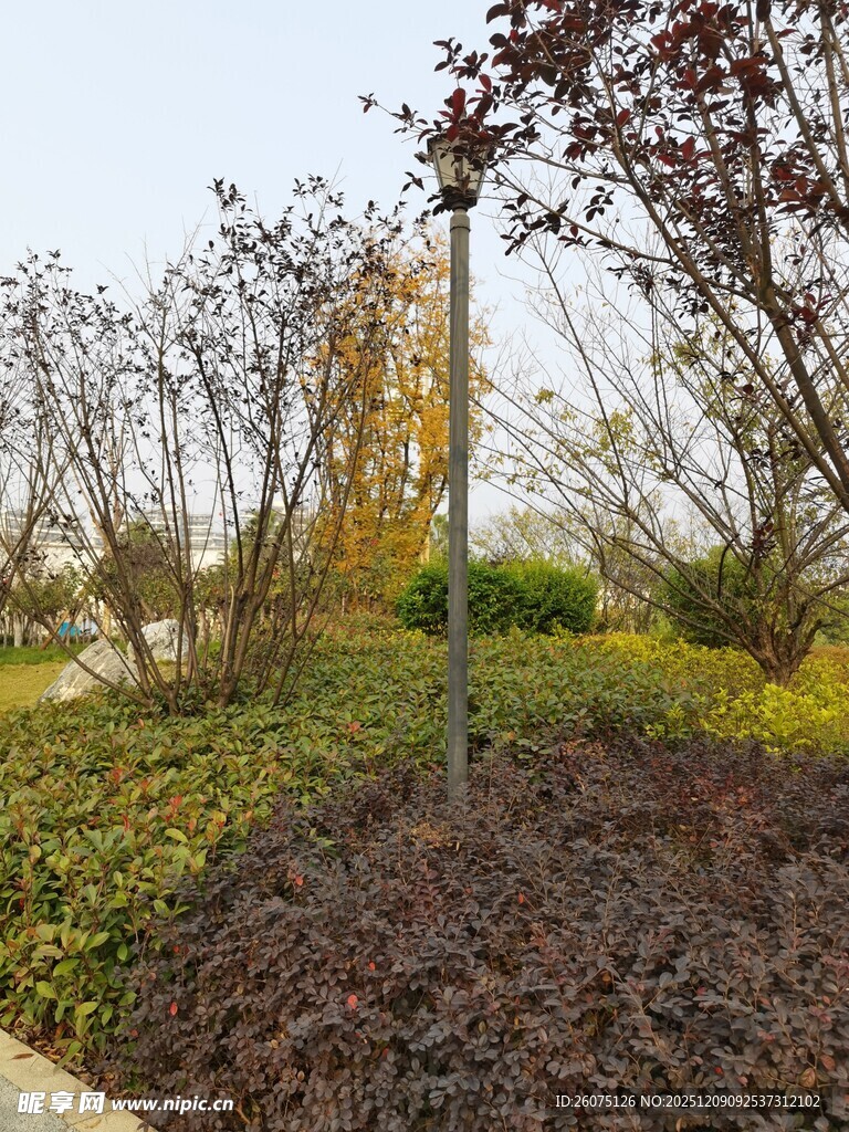 秋日园林景观植物景致