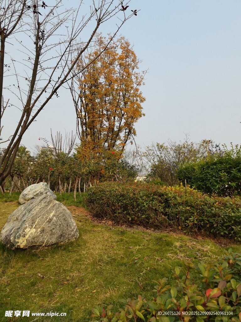 户外草地旁的巨石与树木