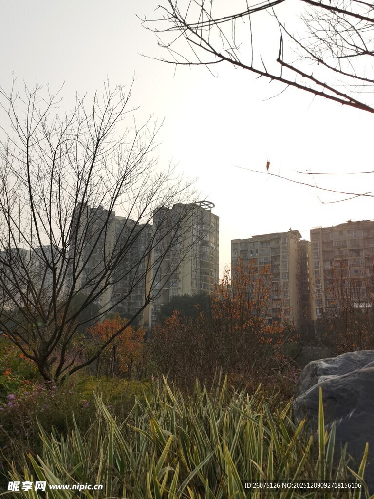 城市中草地与高楼景观