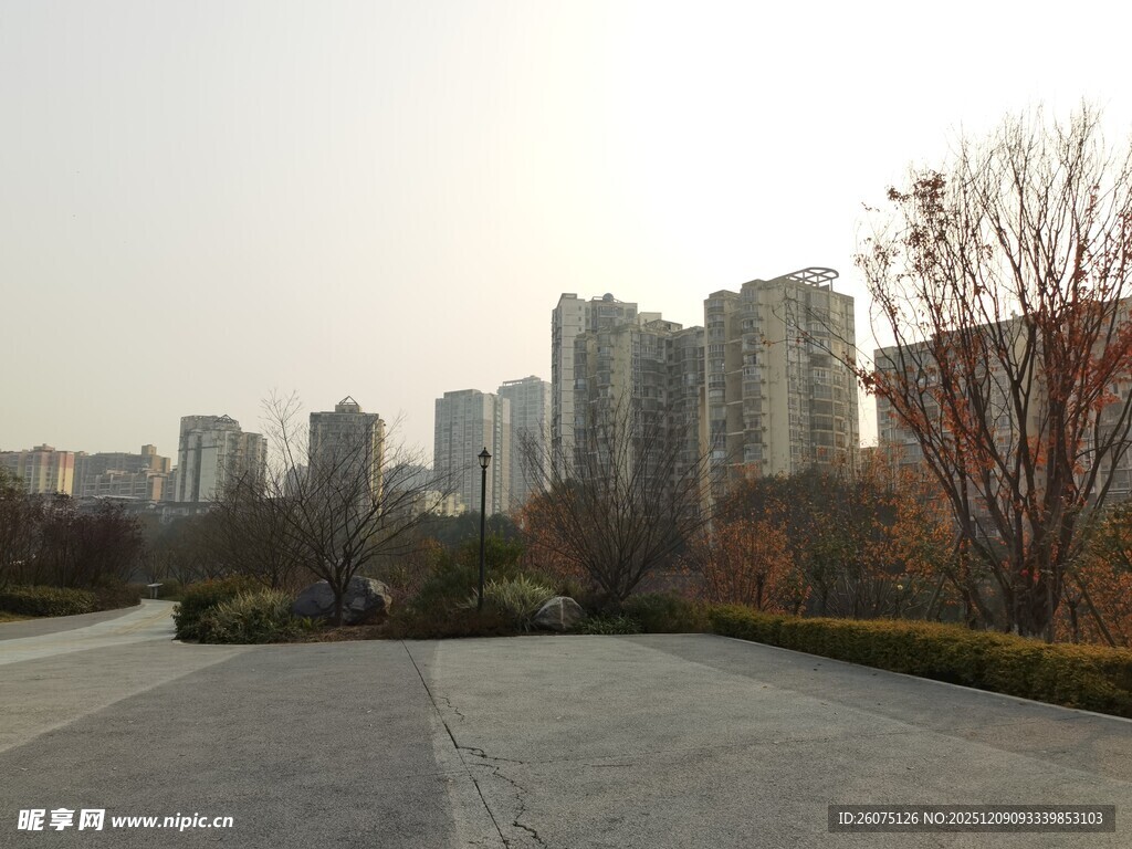 城市中的开阔道路与建筑