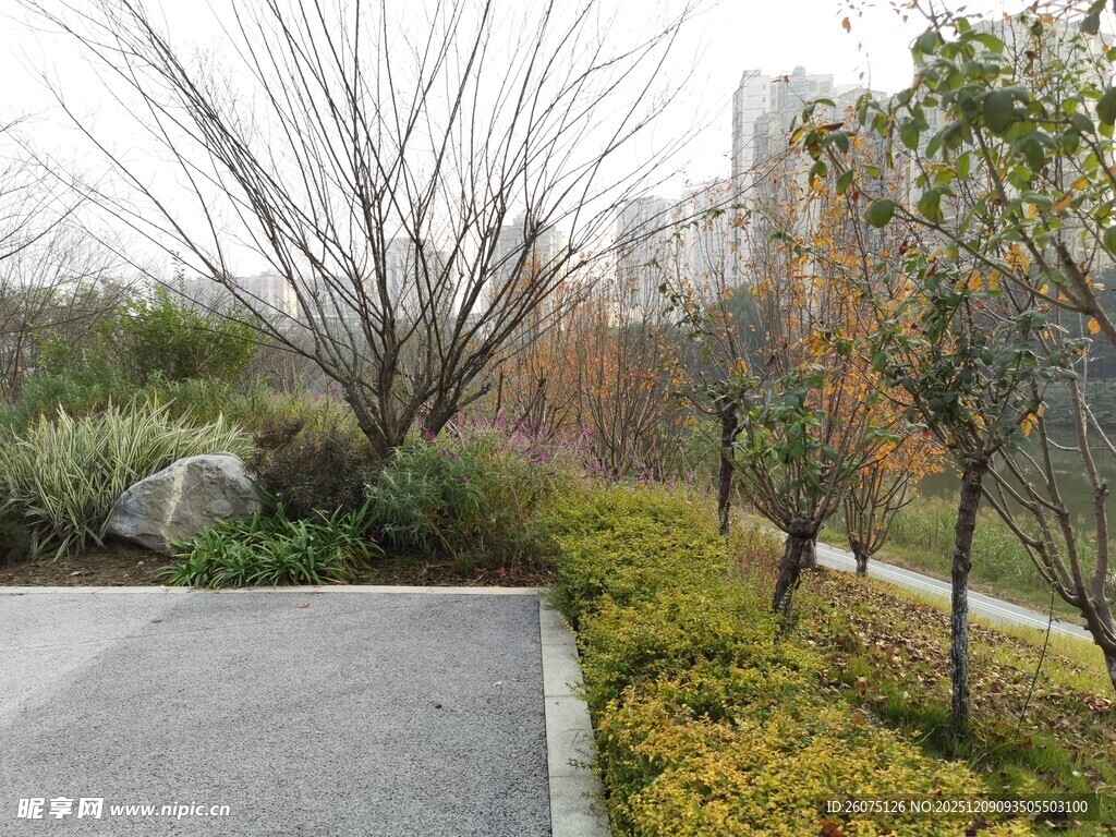 城市路边的绿植景观