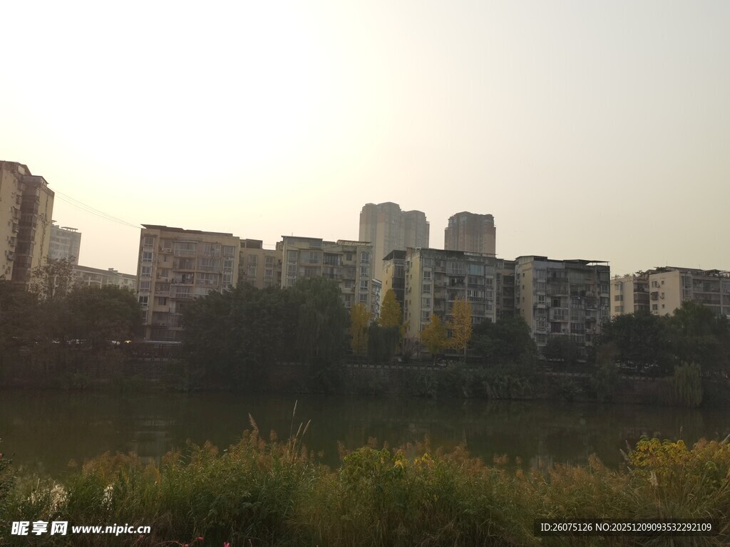 城市黄昏下的楼群与草地