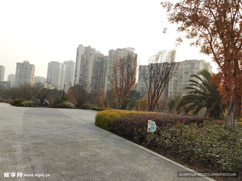 城市道路旁的绿化景观