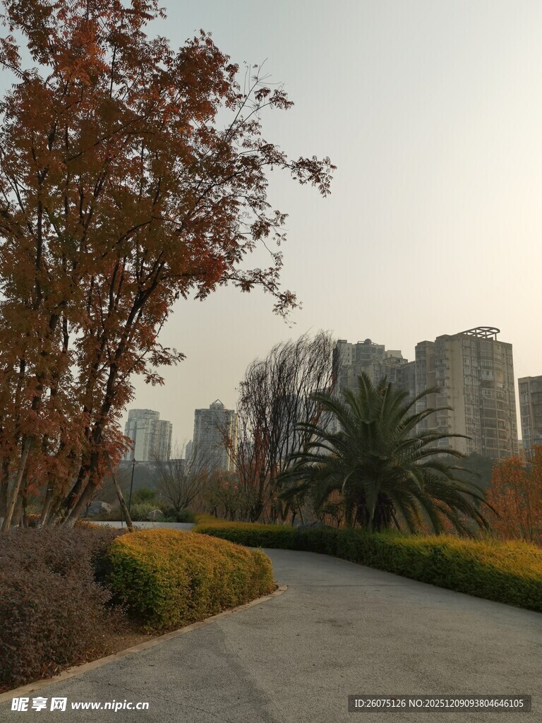 城市公园中的宁静步道