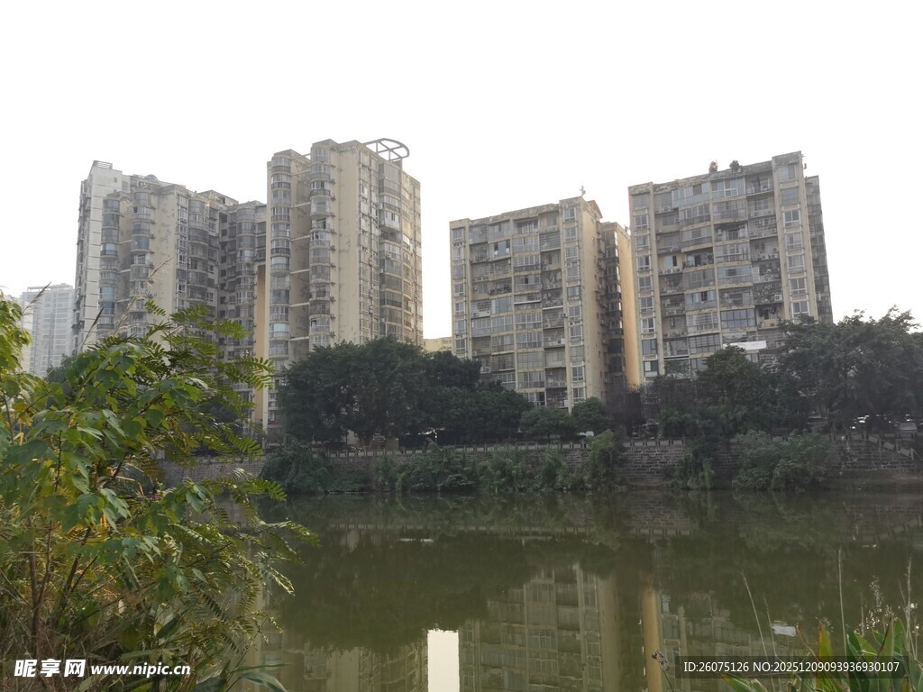 湖畔高楼林立的城市景致