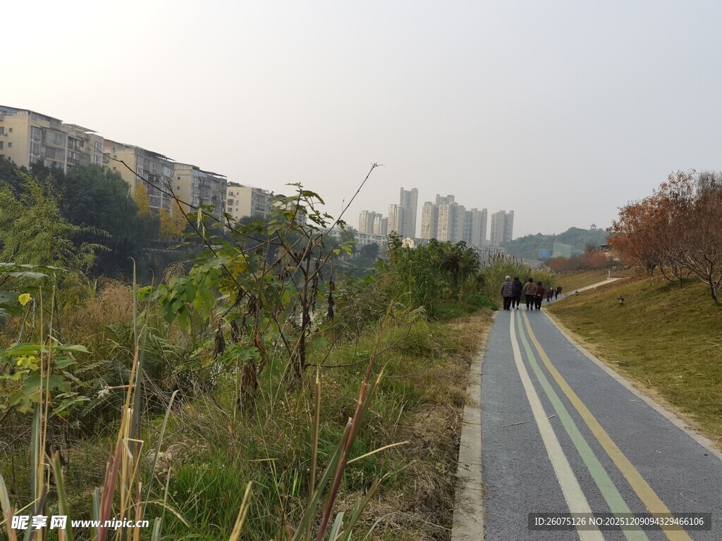 郊外蜿蜒公路旁绿植景观
