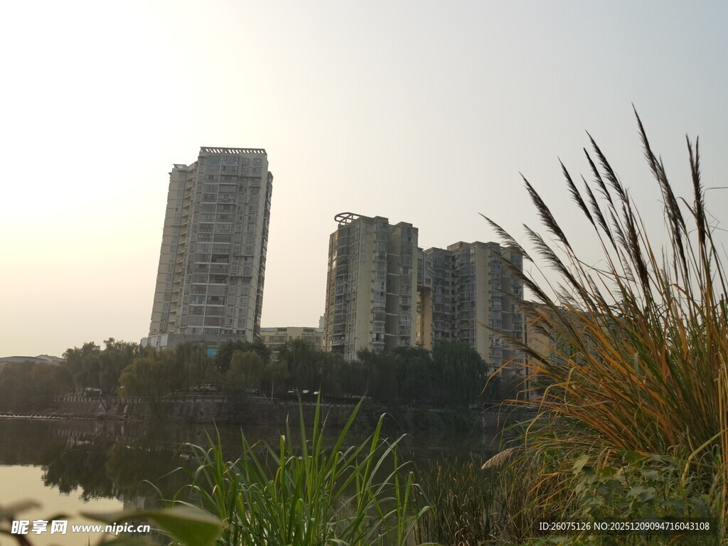 河畔高楼与绿植之景