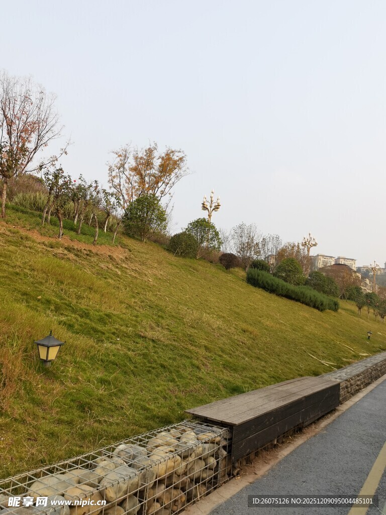 路边绿草坡景观