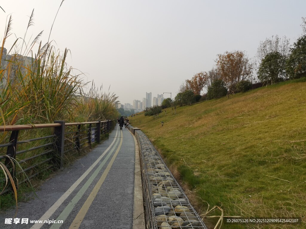 郊外河畔步道风景