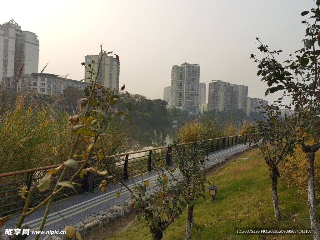 城市公路旁的高楼与绿植