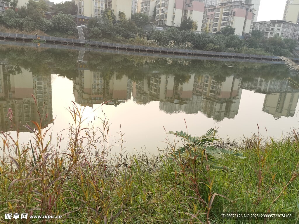 河边城市景观倒影