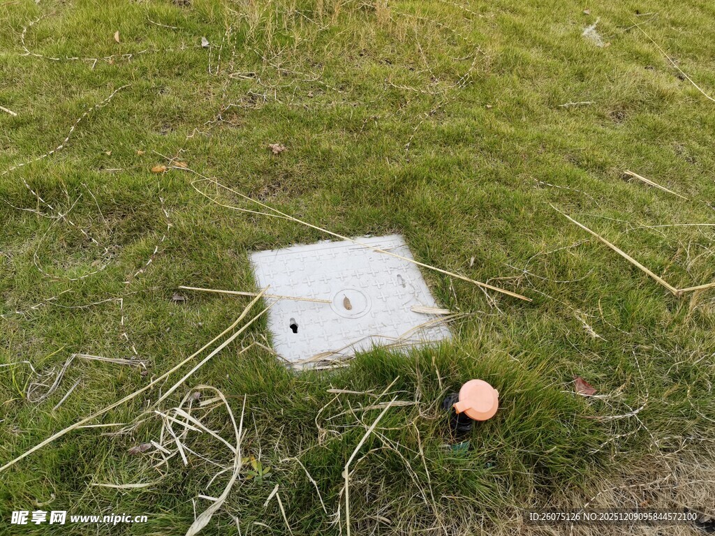 草地上的白色物件与红球