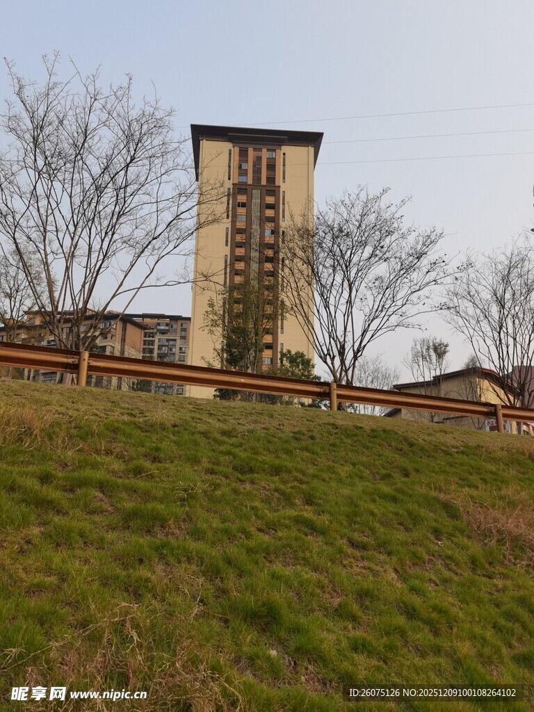 高楼矗立在草地与树木间