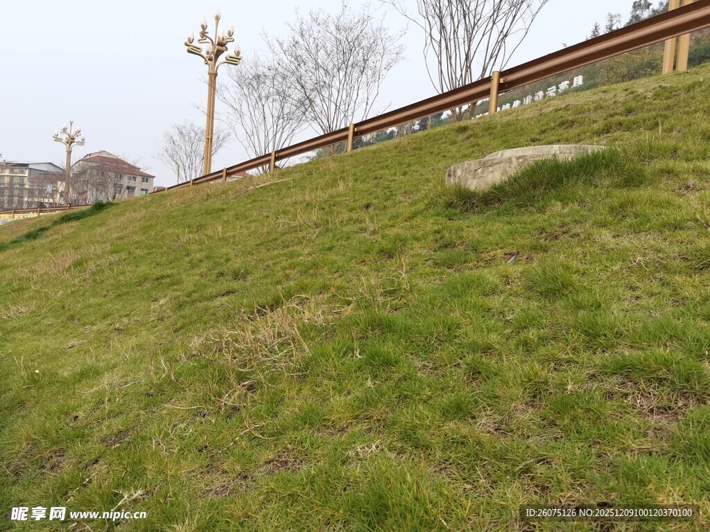 户外斜坡草地景观