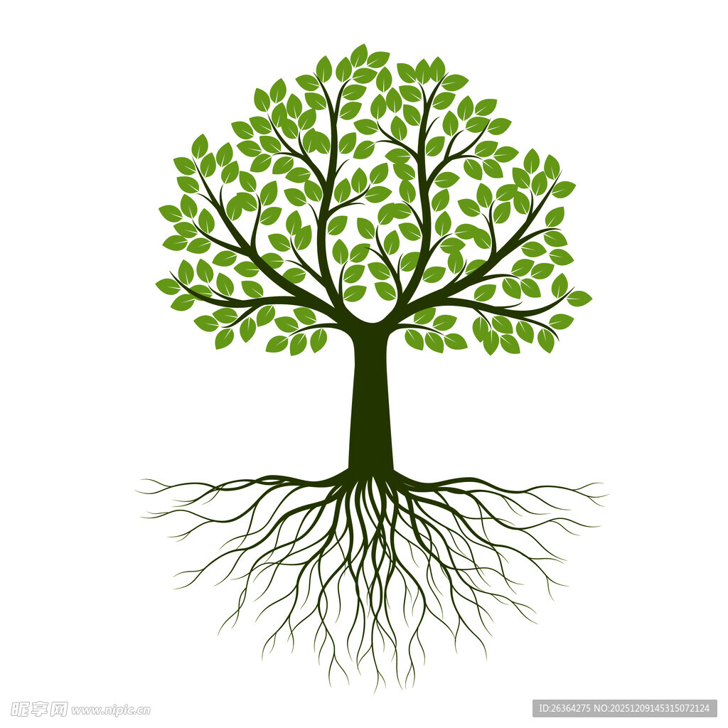 绿树根系图