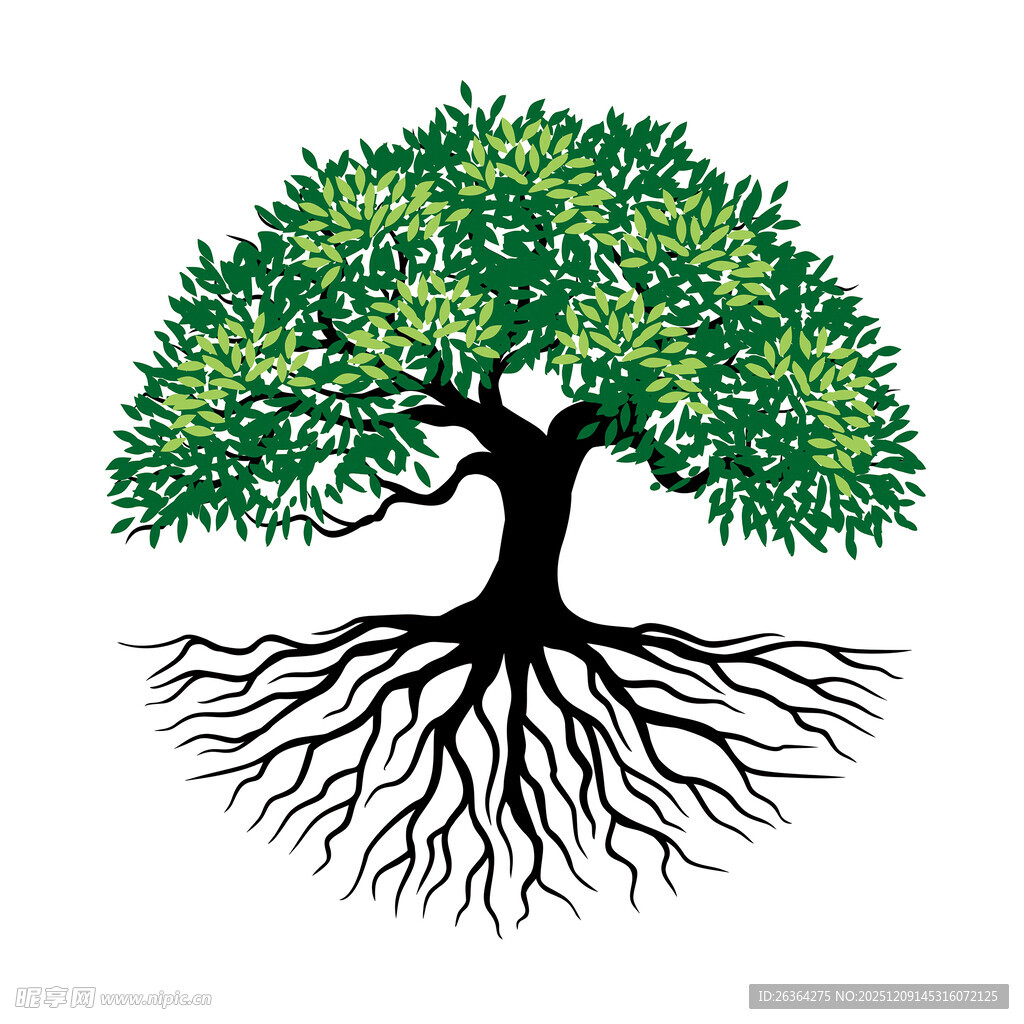 茂盛大树展现根系之美