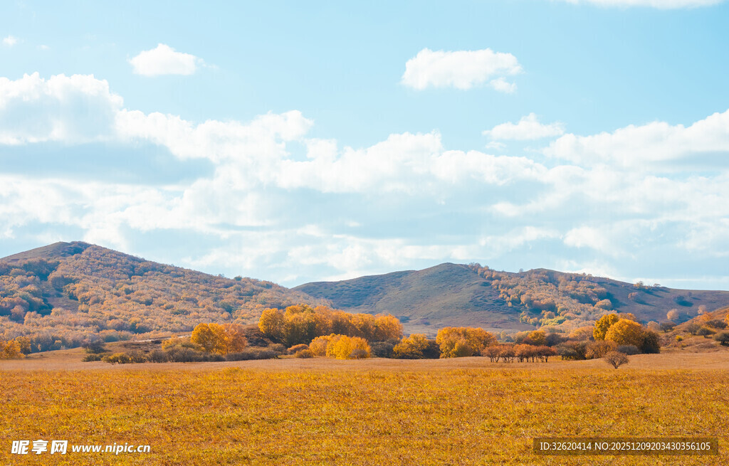 秋日旷野风光