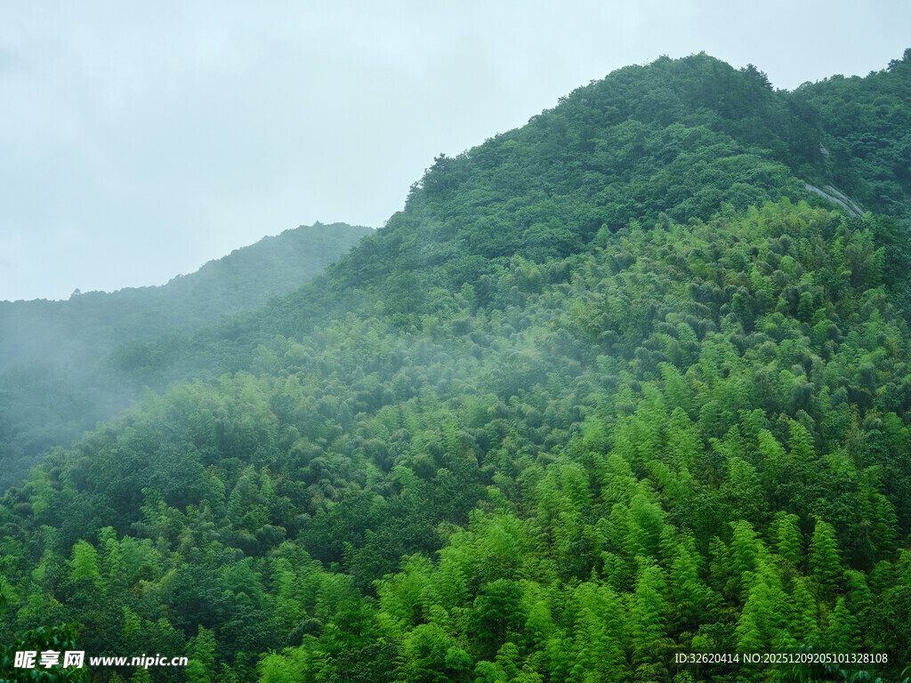 云雾缭绕的翠绿山林