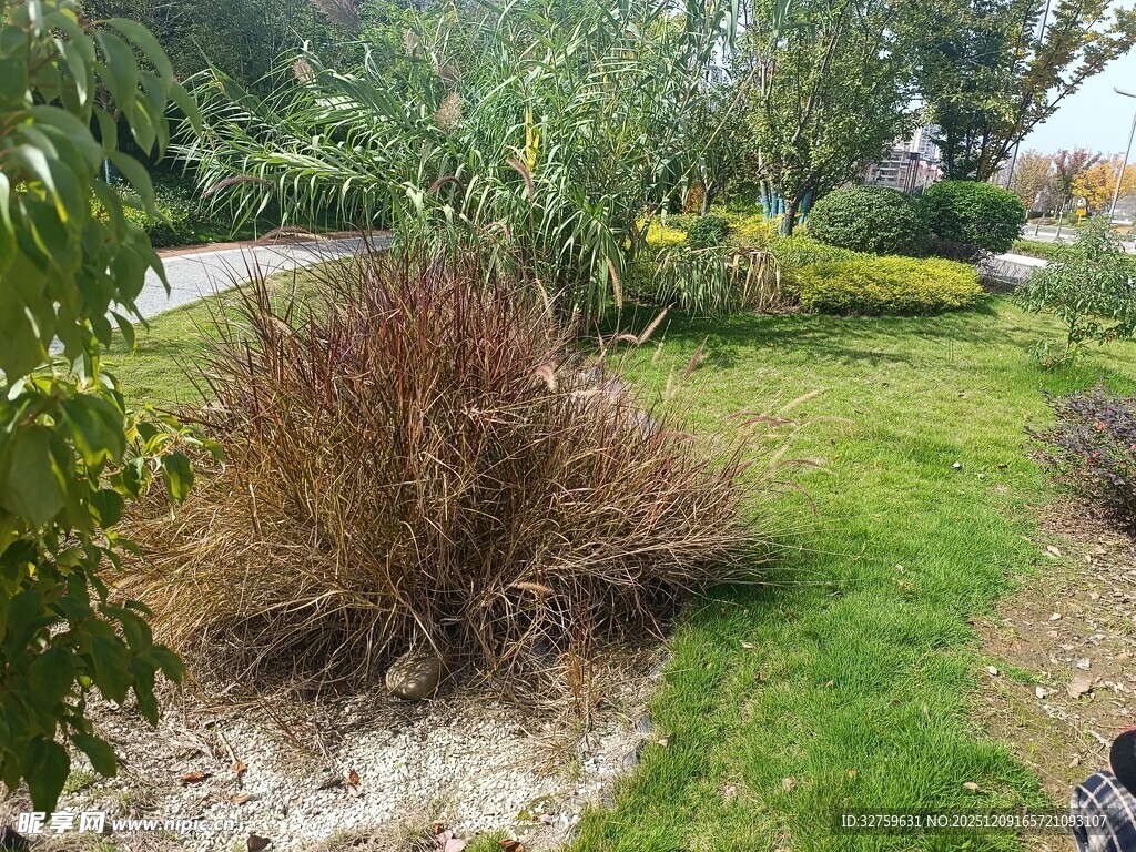 户外绿植景观一角