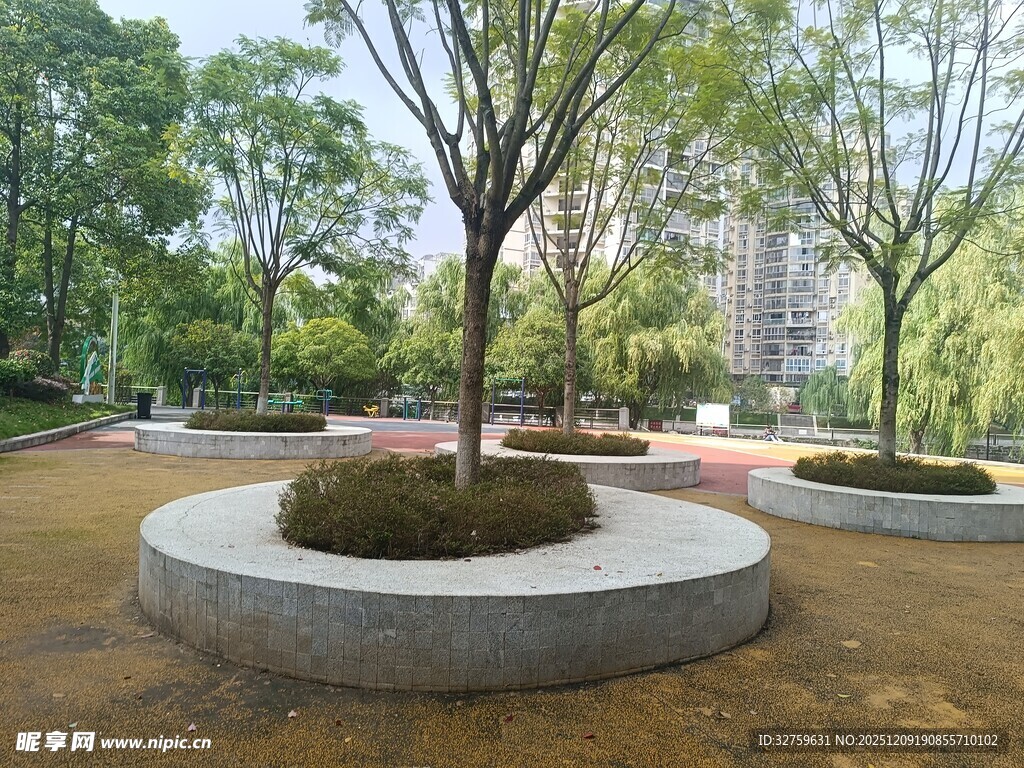 城市公园中的圆形树池景观