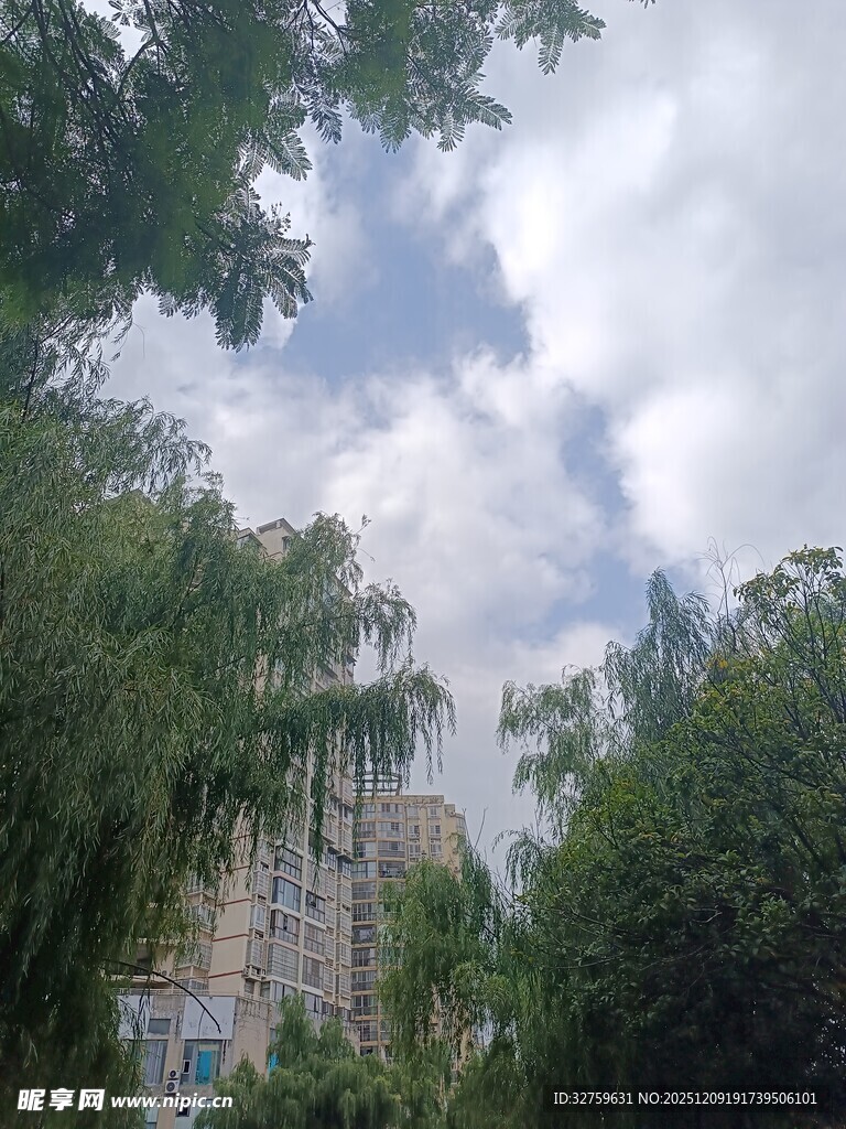 绿树掩映下的天空与建筑
