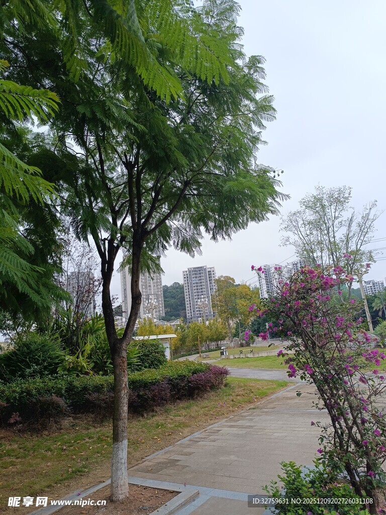 城市公园中的宁静小径