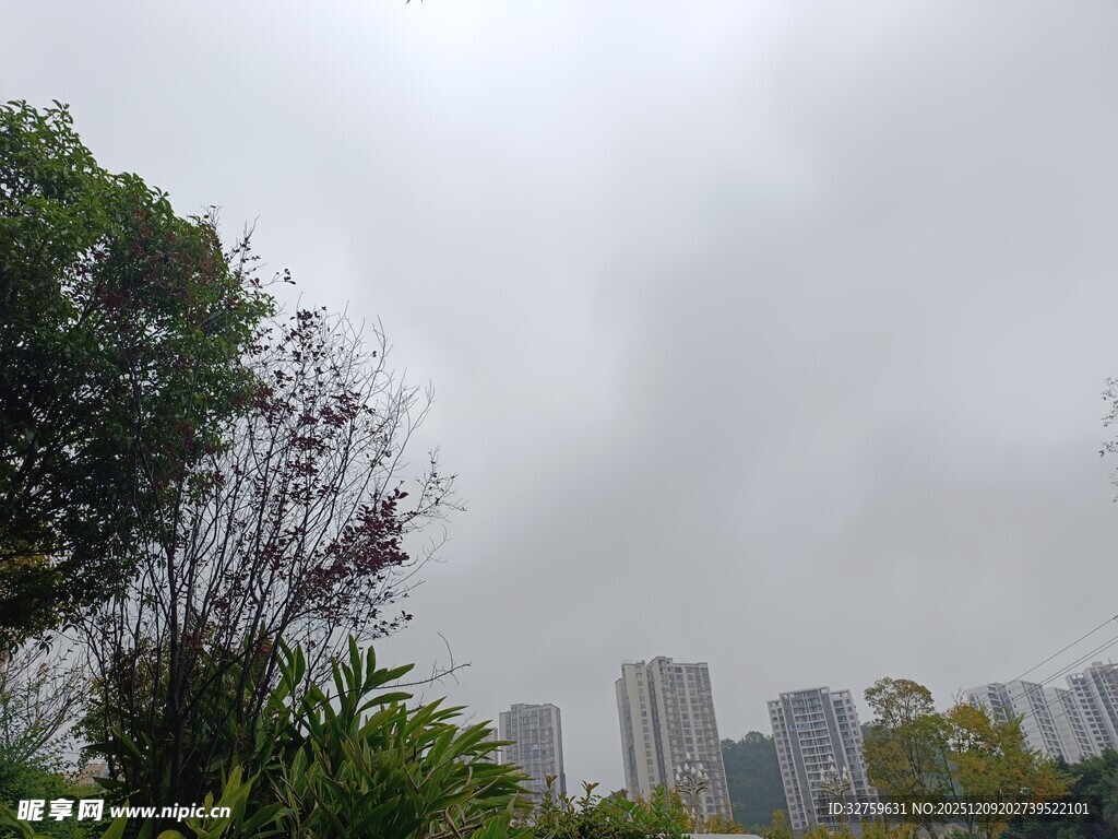 阴天城市与绿植景观