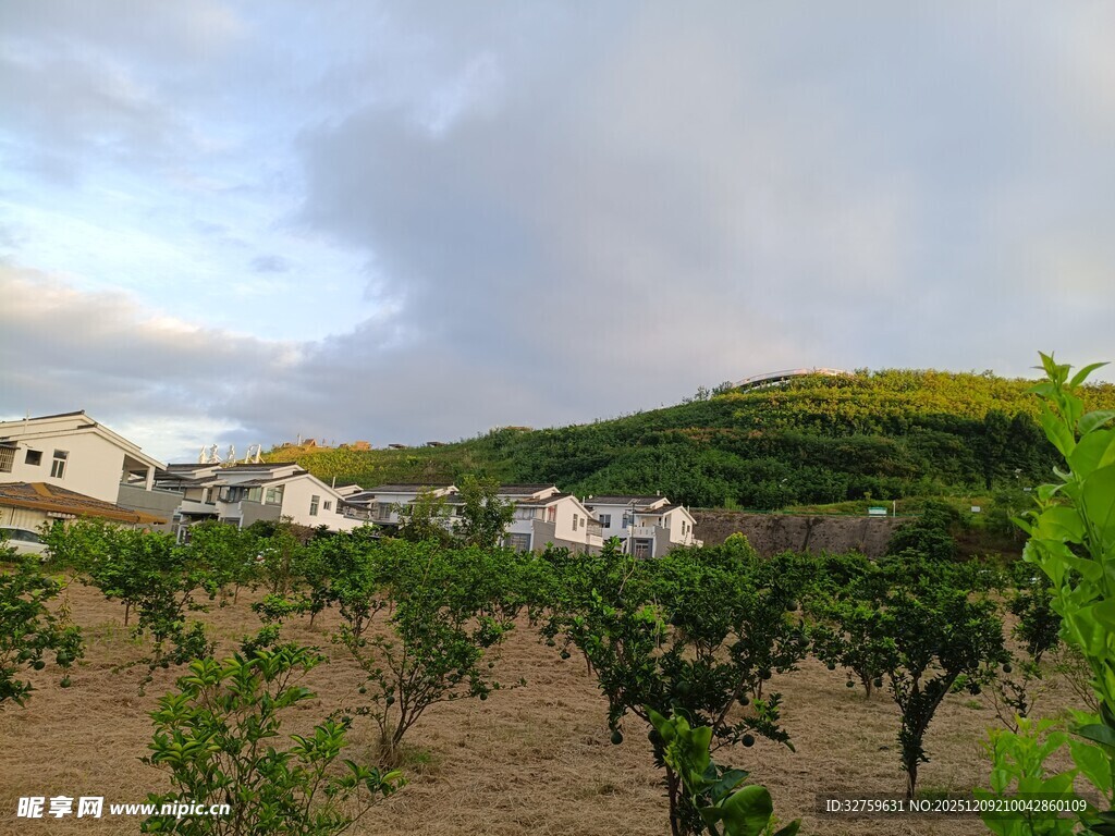 田园风光中的白色建筑群