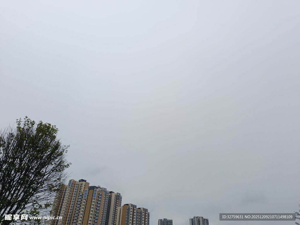 城市高楼与树木的景致