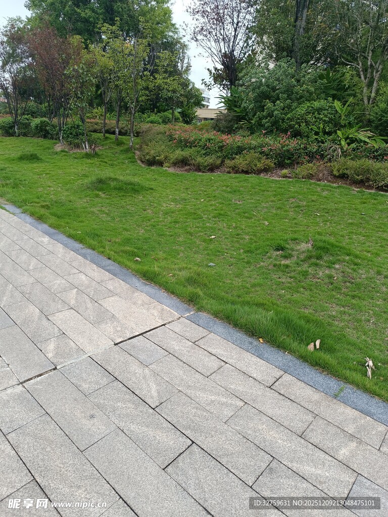 石板路旁绿意盎然的草坪