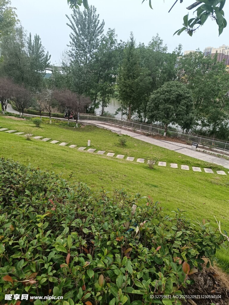 绿意盎然的户外园林景观