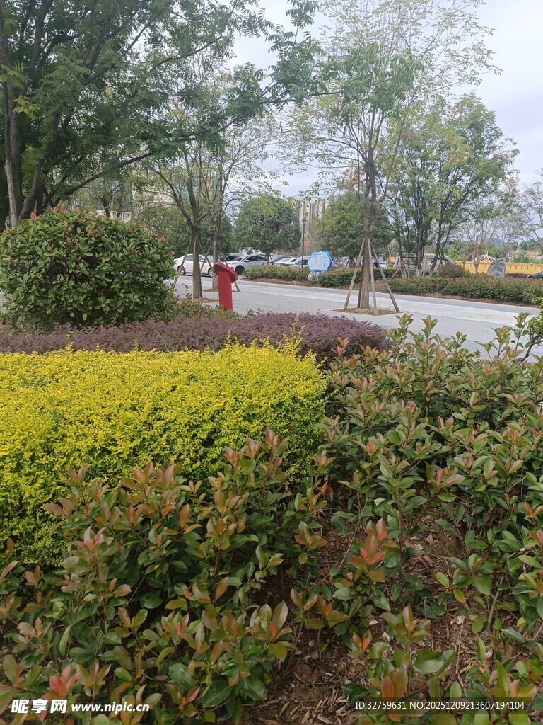 公园绿植景观
