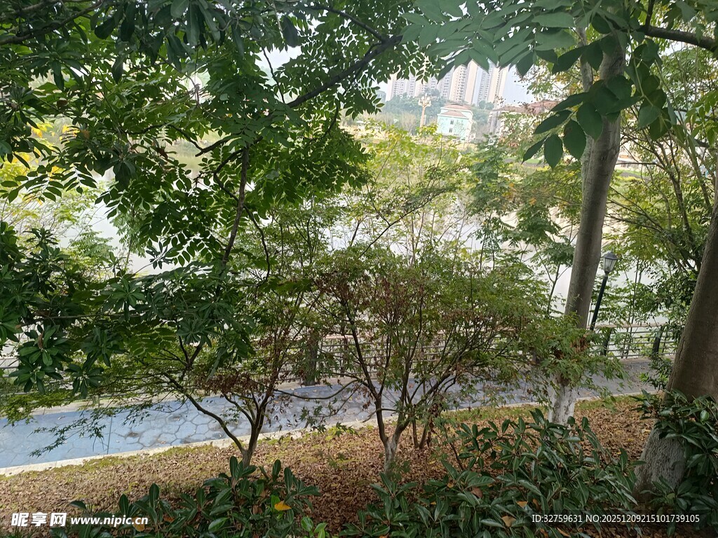 窗外绿意盎然的自然景致