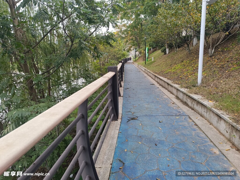 河边步道上的独行者