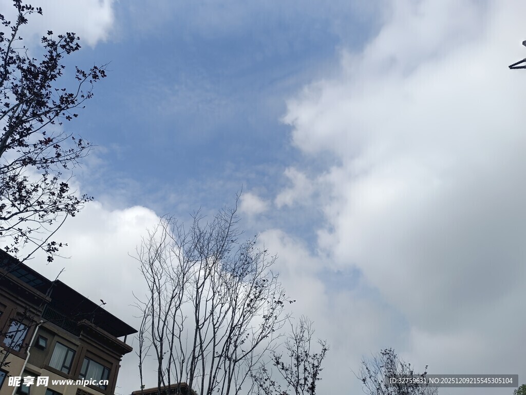 蓝天白云下的建筑与树木