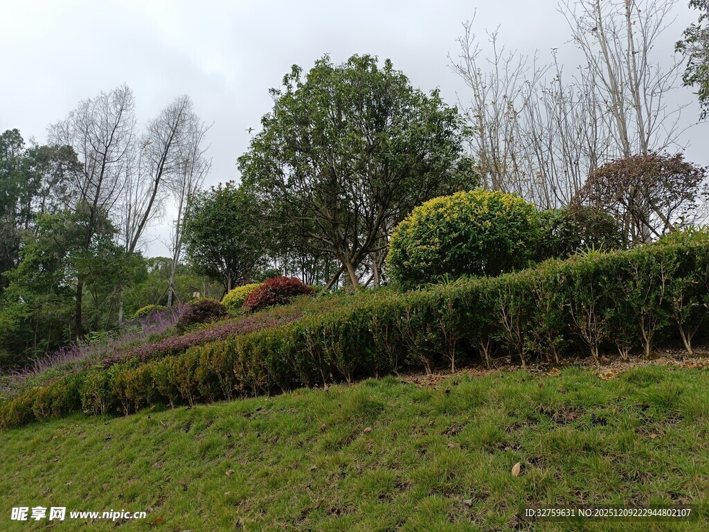 绿意盎然的园林景观