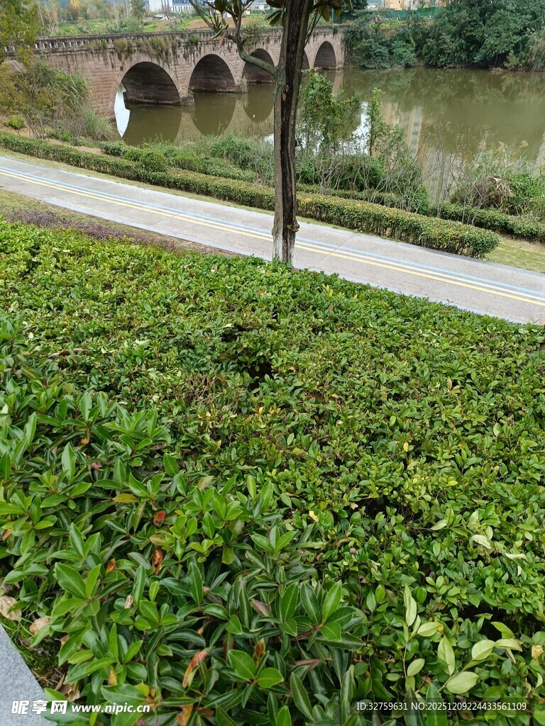 河畔绿植与石桥景观