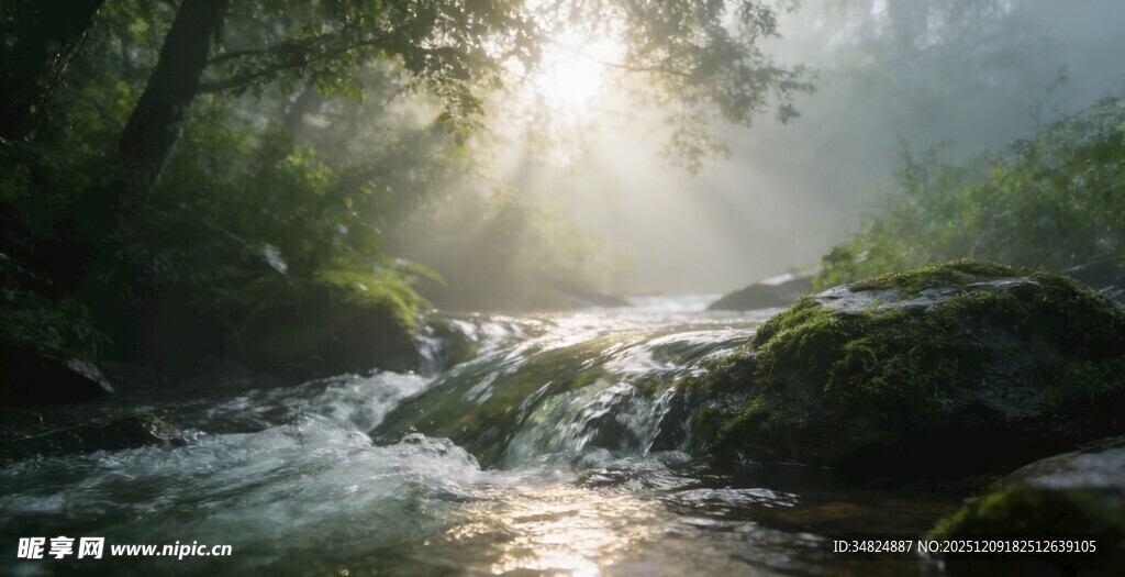 林间溪流沐晨光
