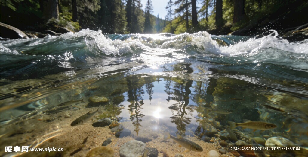清澈溪流中的潺潺流水