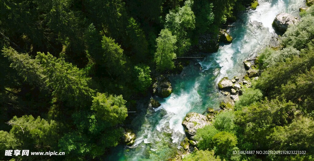 山间溪流穿林而过