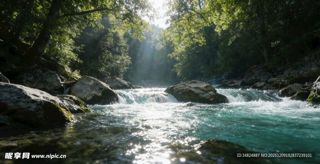 阳光洒落的山间清澈溪流